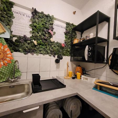 Studio Prommontore Premantura Esterno foto
