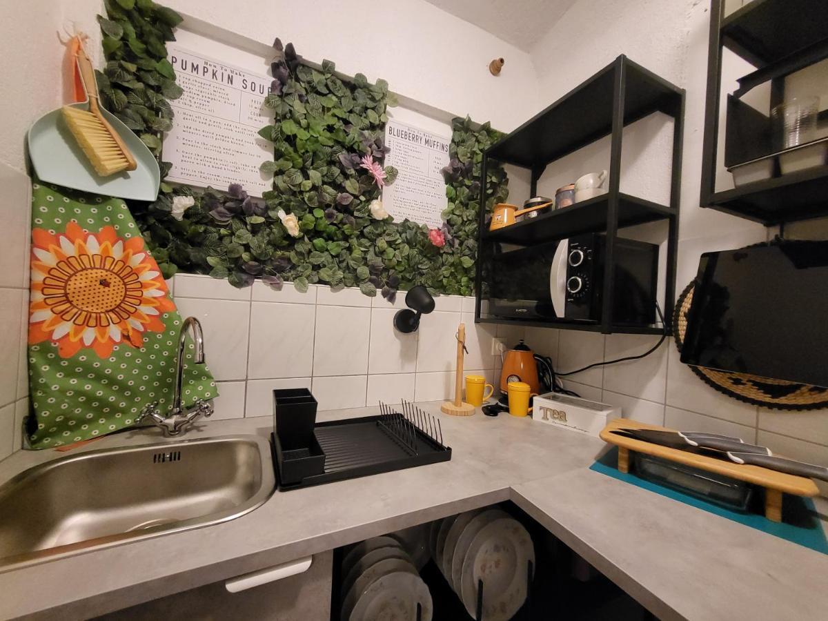 Studio Prommontore Premantura Esterno foto